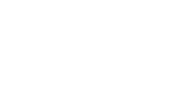 Fanttik