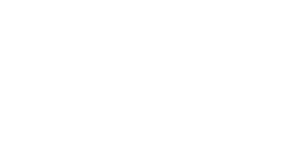 Lectric