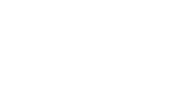 Raycon